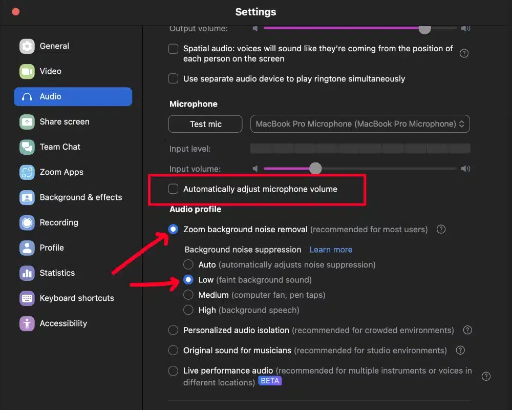 3rd step zoom audio settings for music