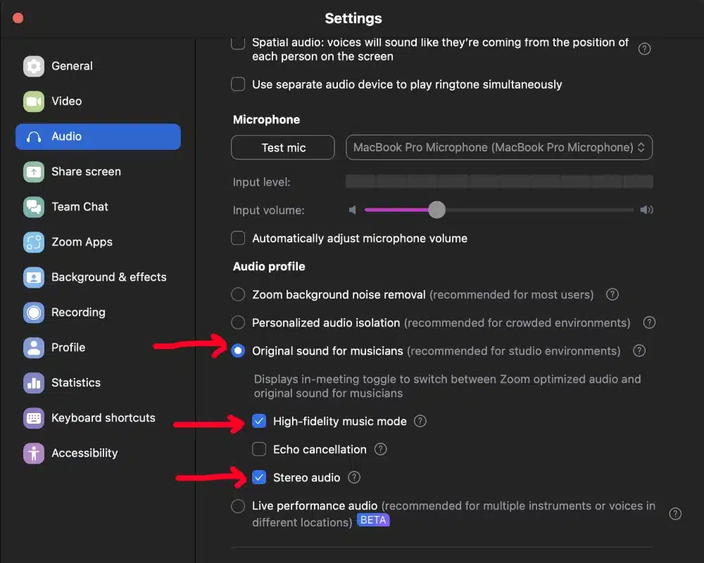 4th step zoom audio settings for music