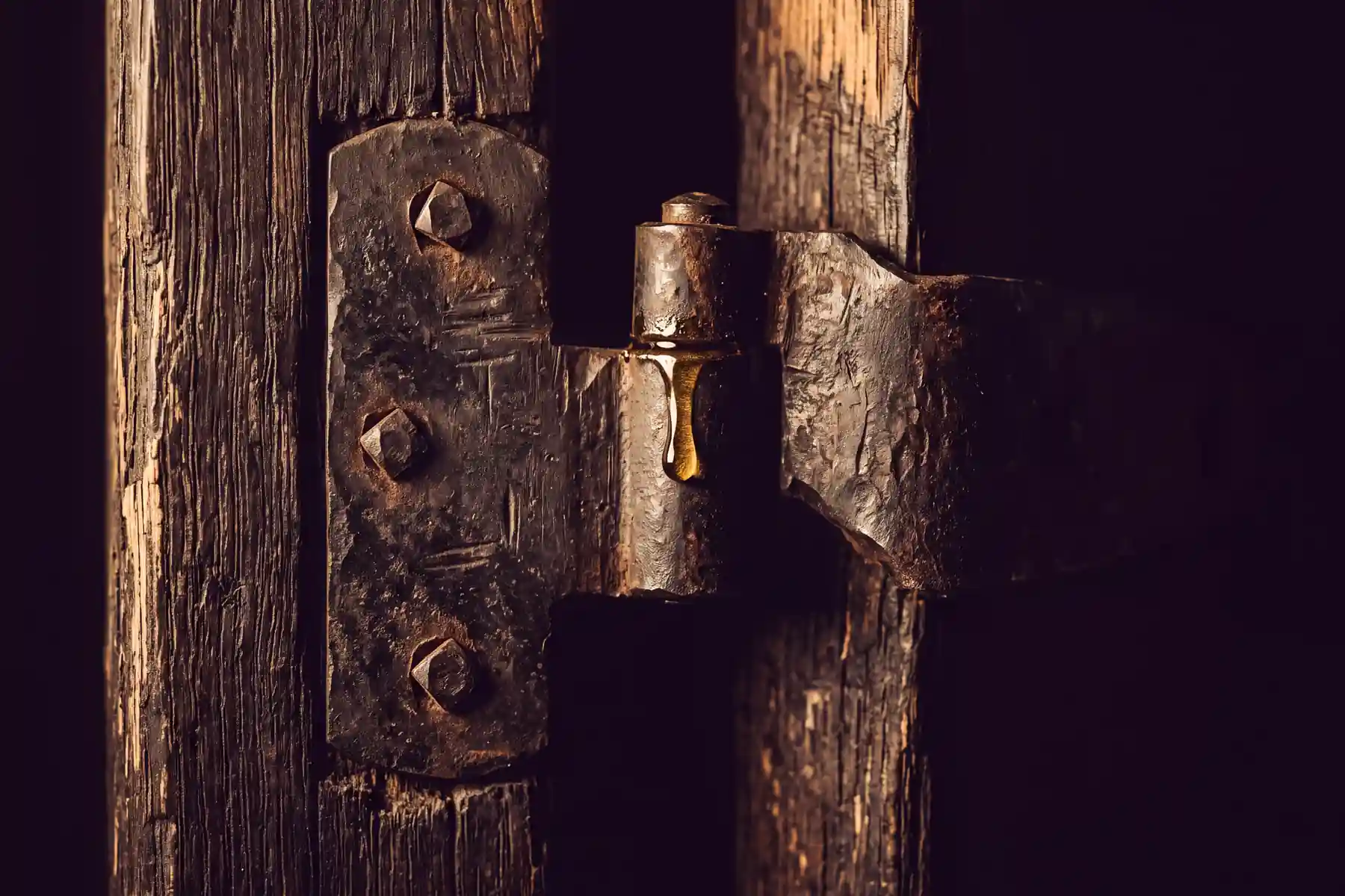 A bead of oil catching the light on the pivot of an old iron door hinge, set into dark weathered wood
